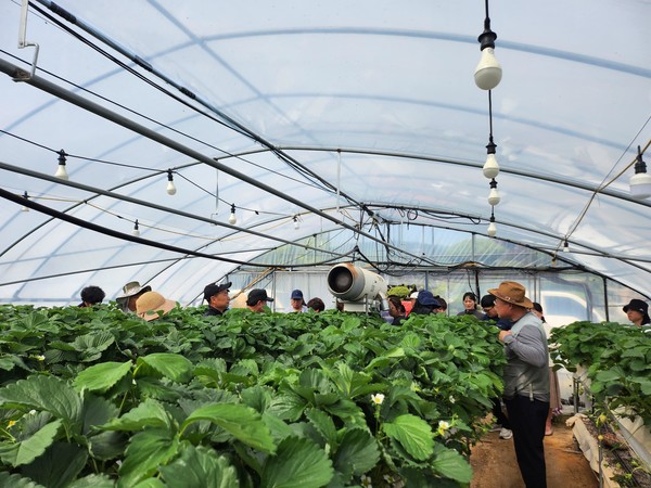 논산시, 영농철 맞아 찾아가는 맞춤형 농업기술 서비스 본격 추진